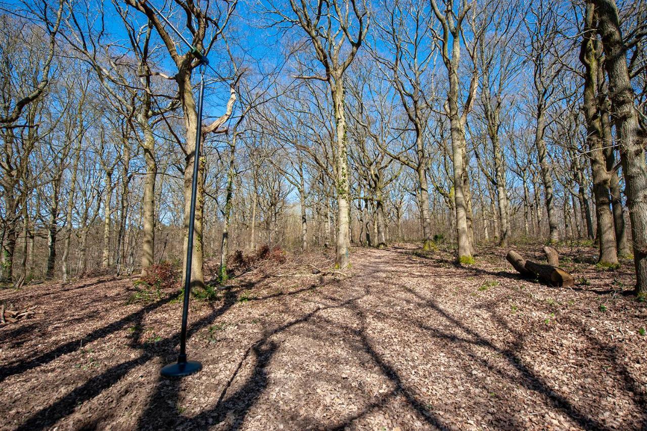 Oakside Tree Tops Canterbury Buitenkant foto
