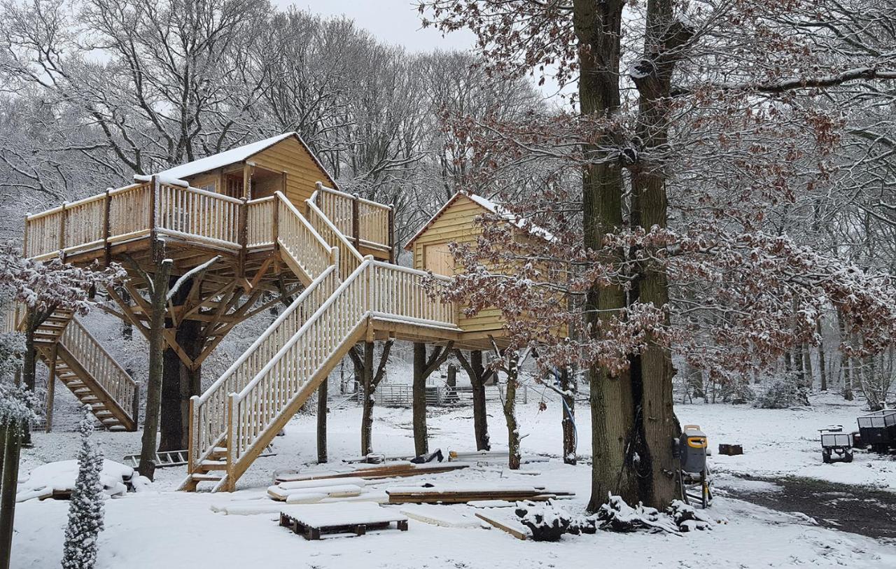 Oakside Tree Tops Canterbury Buitenkant foto